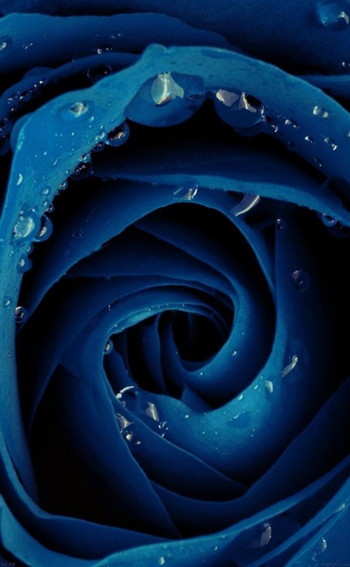 Красивый синий цвет