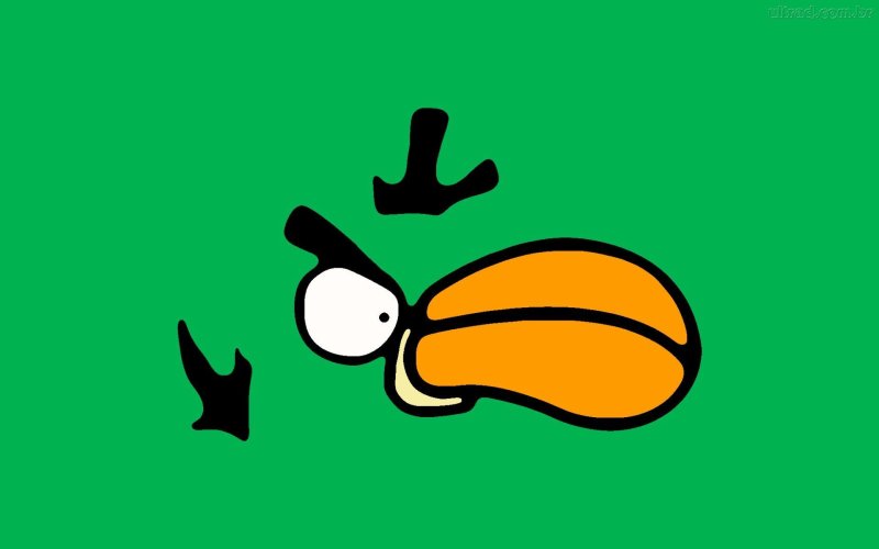 Angry Birds обои
