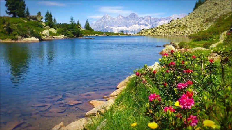 Природа релакс