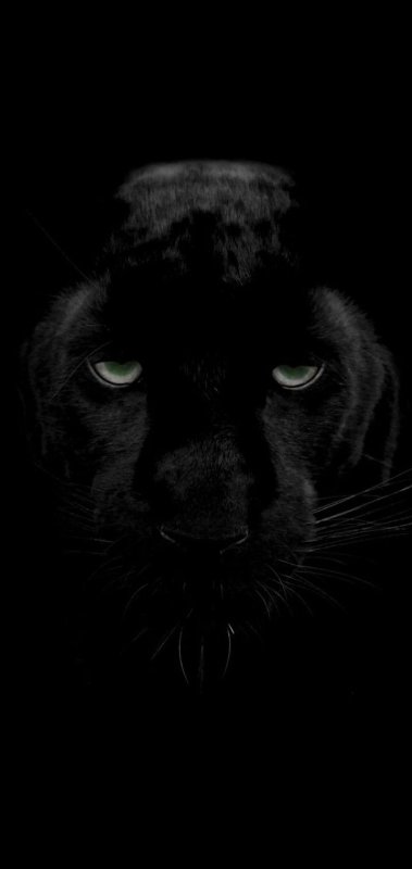 Черные обои