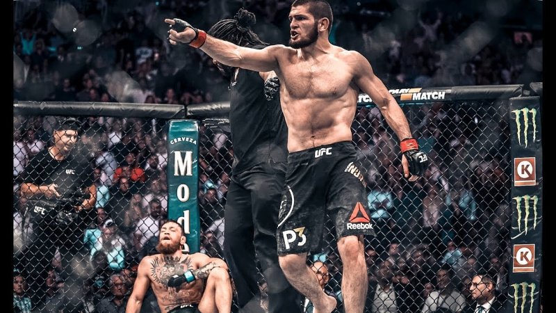 Конор МАКГРЕГОР UFC 229