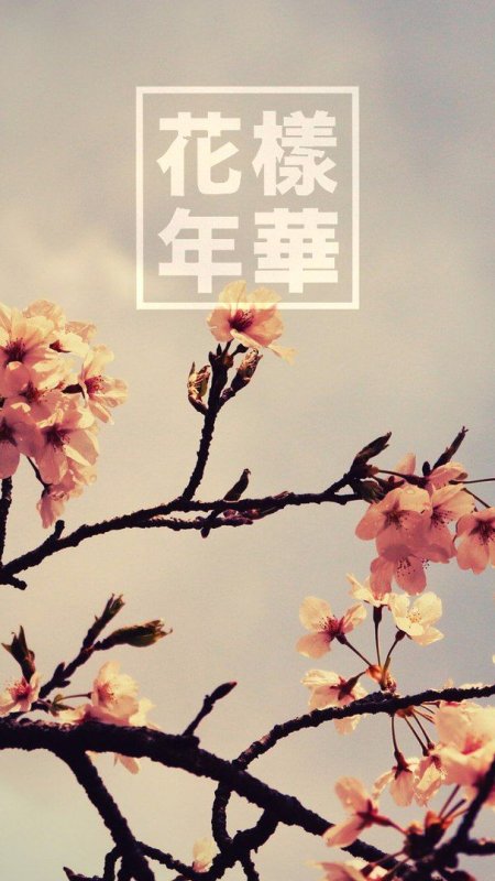 Корейские заставки