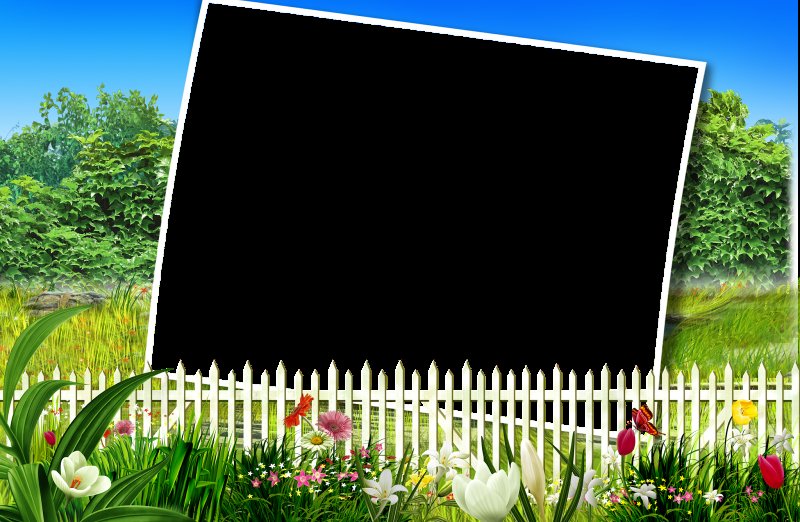 Фон для объявления