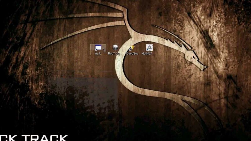 Kali Linux картинки