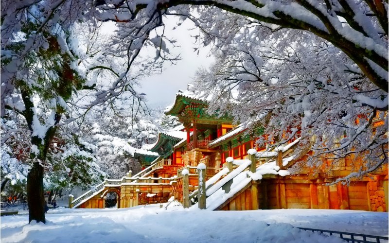 Японский сад зимой