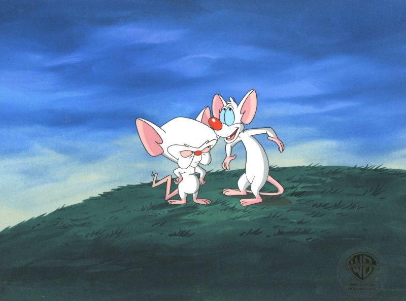 Пинки и Брейн