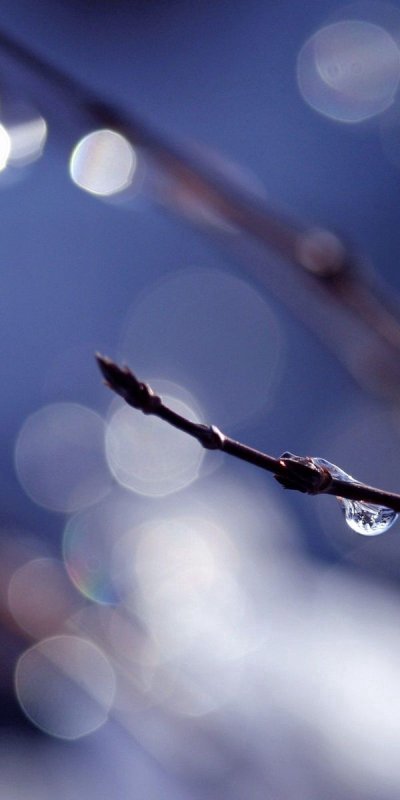 Весенняя капель