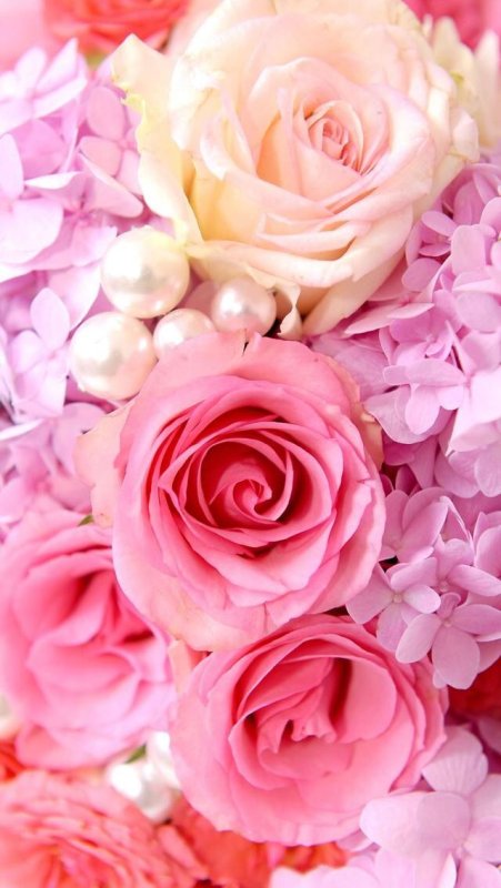 Розовые цветы