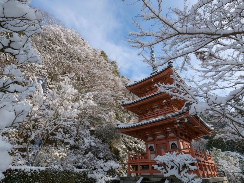 Замок Хиросаки, Япония.