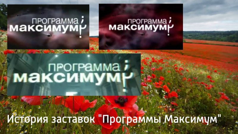 Программа максимум заставка