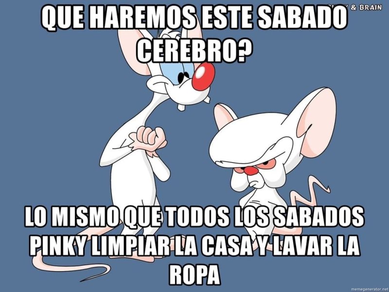 Пинки и Брейн план захвата мира