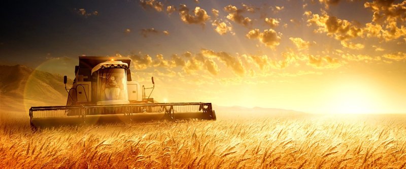 Комбайн в поле