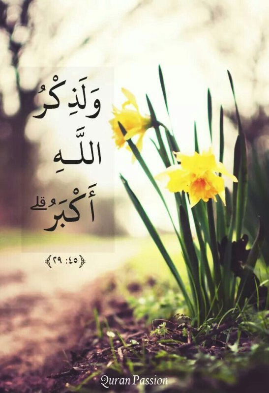 Весенние цветочки