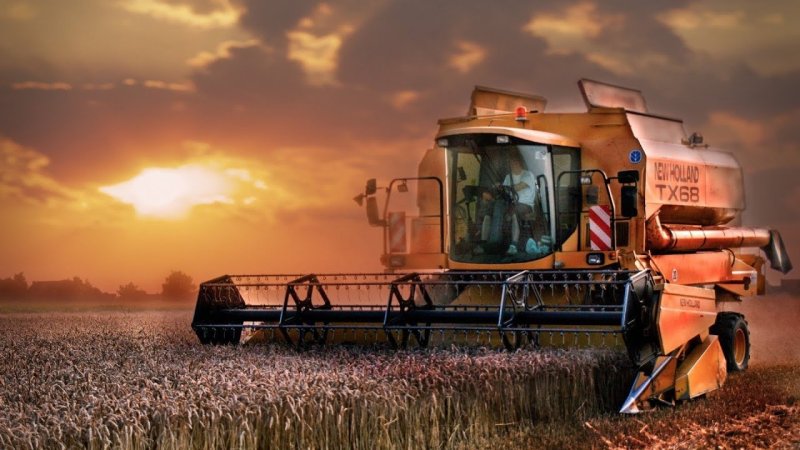 Уборка урожая