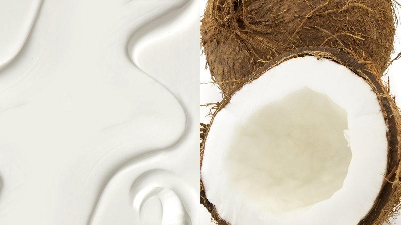 Кокос на белом фоне