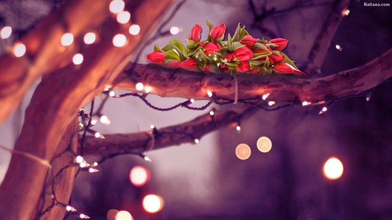 Весна вечер