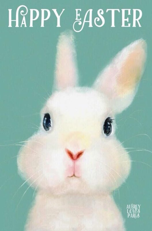 Зайчик на аву