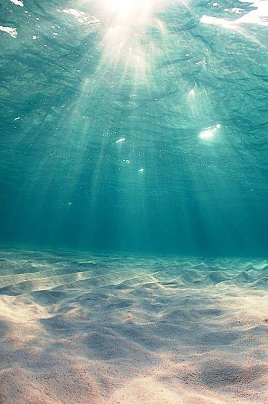 Океан под водой