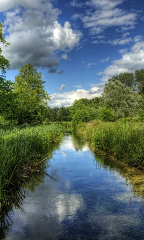 Пейзаж с рекой
