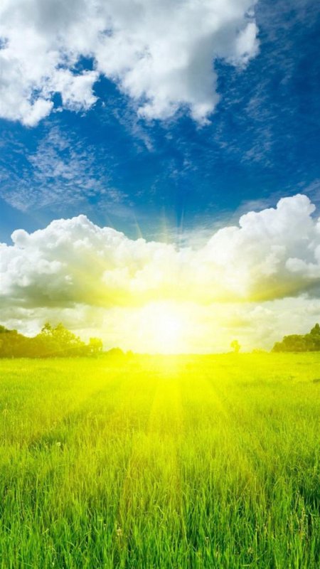 Яркое солнце