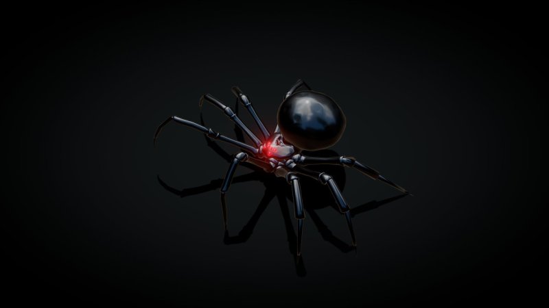 Черная вдова паук