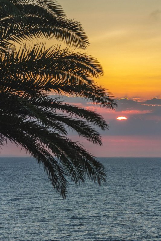 Пляж с пальмами