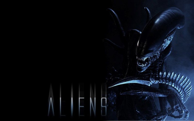 Alien vs Predator 2004