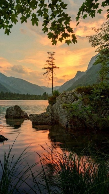 Речной пейзаж