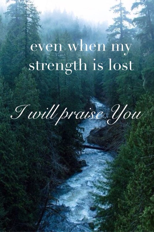 Тайга (хвойные леса) реки Сыктывкар