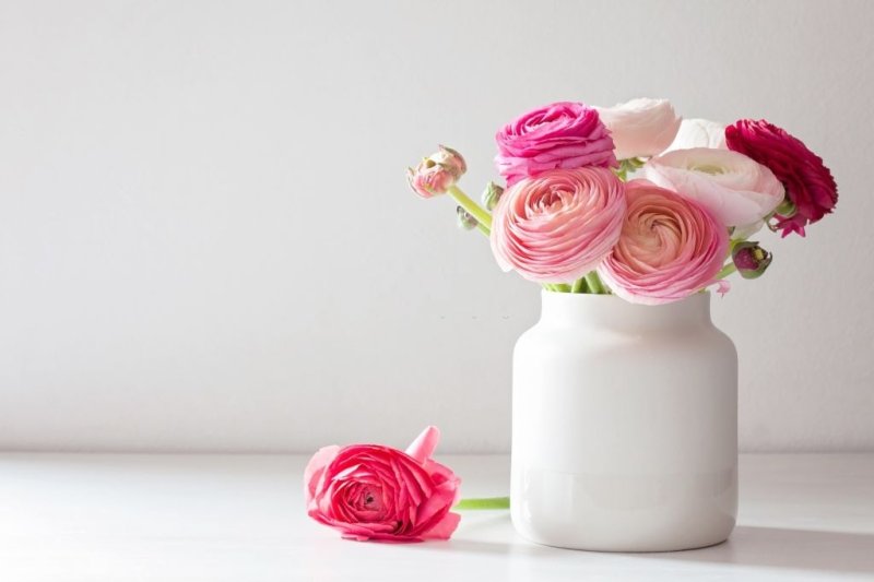 Ранункулюсы в вазе