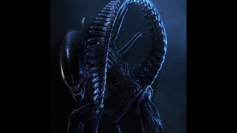 Чужой картинки