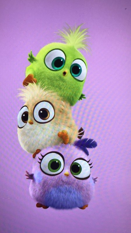 Смешные обои на телефон