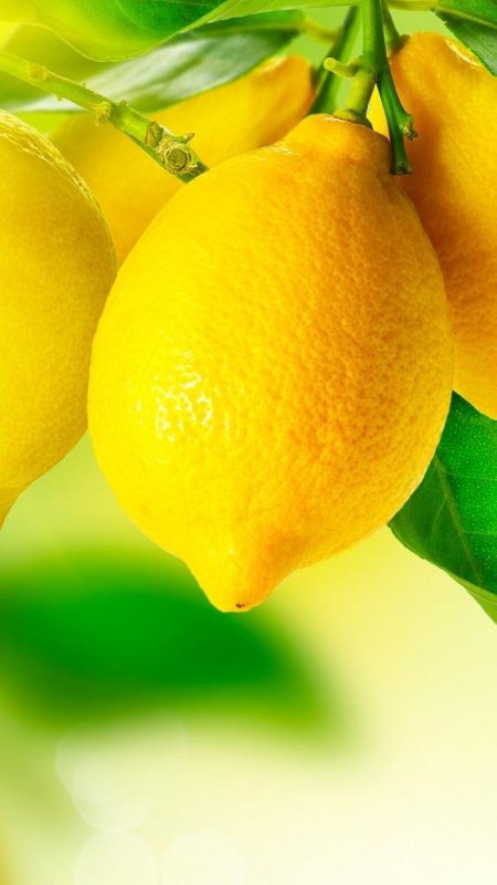 Желтый лимон