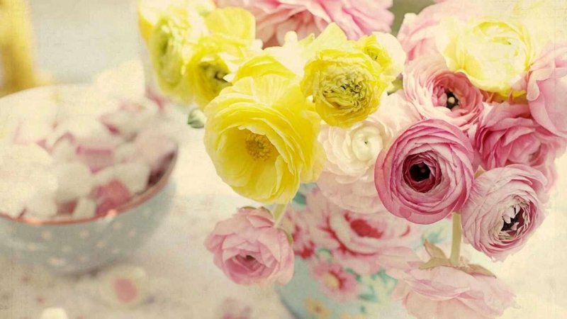 Ранункулюс (Лютик) Вайт