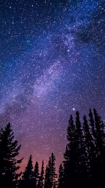 Звездное небо