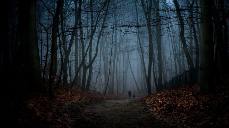 Жуткий лес