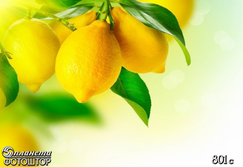 Сочный лимон