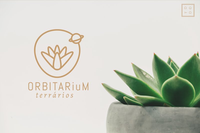 Растения Минимализм