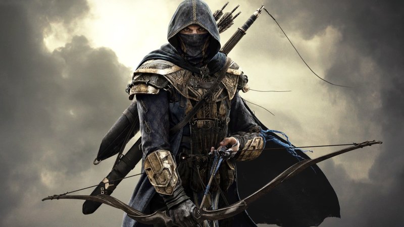 The Elder Scrolls 4 ассасин