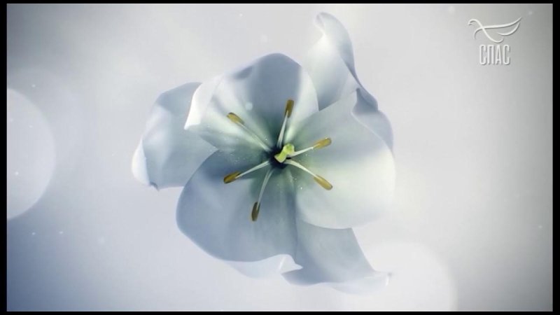 Заставки спас Телеканал 2019