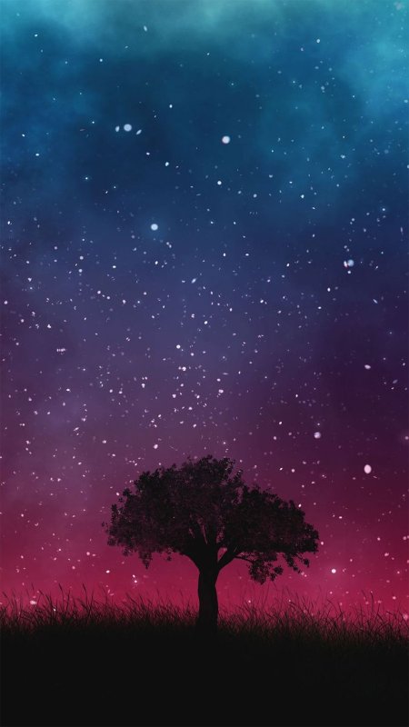 Дерево ночью