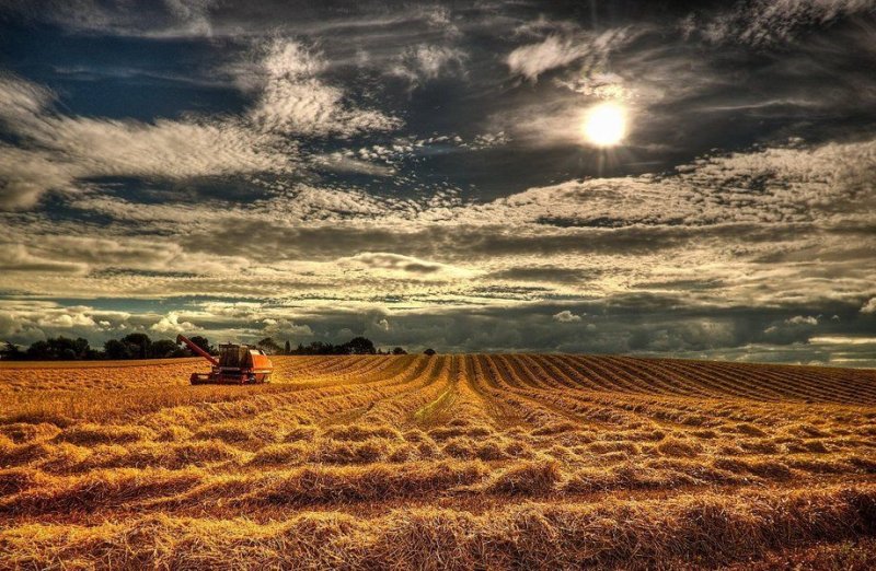 Сельскохозяйственный пейзаж