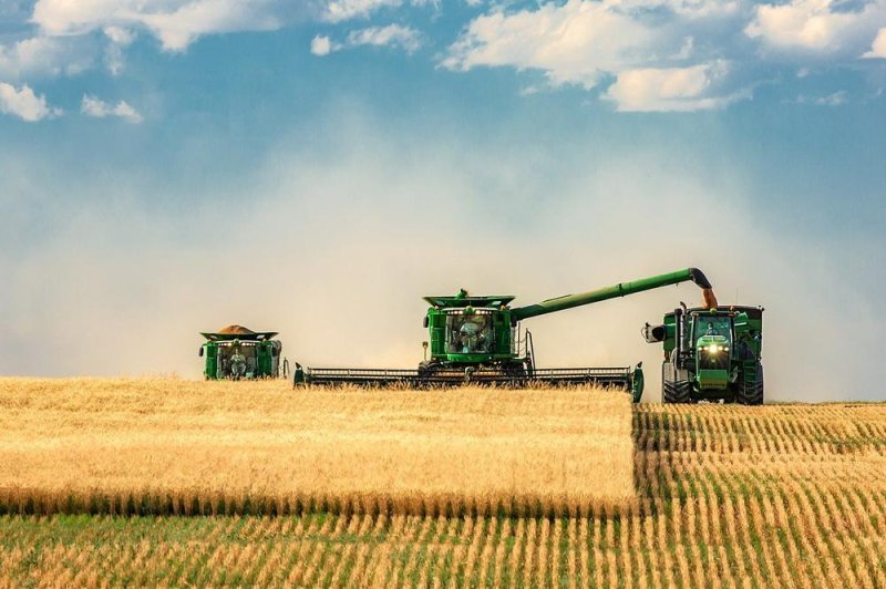 Пшеничное поле с комбайном