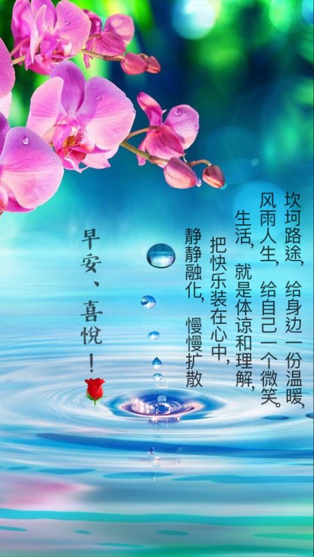 Красивые обои на телефон