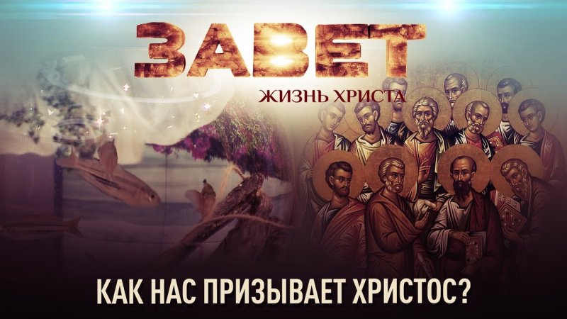 Телеканал спас