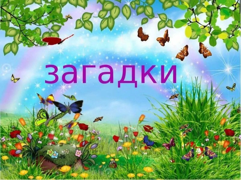 Загадки для детей