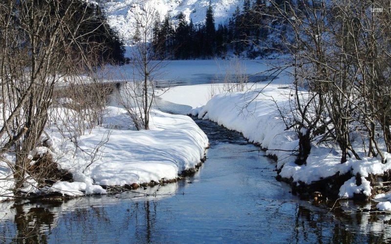 Ручьи ранней весной
