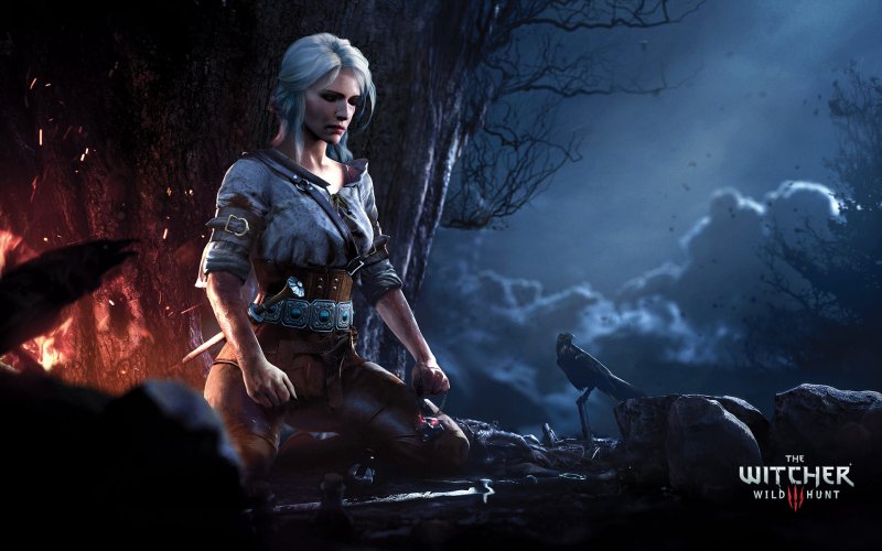 The Witcher 3 Wild Hunt Цирилла