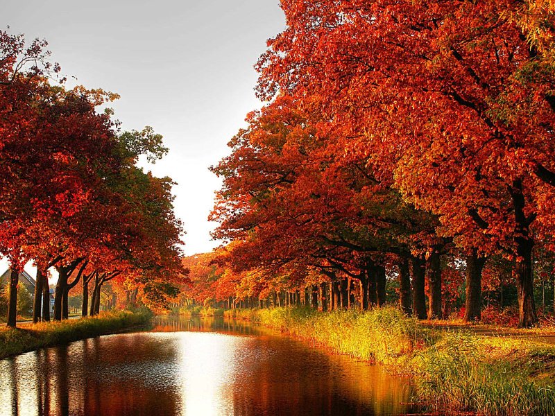 Красивая осень