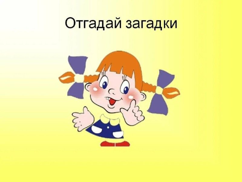Отгадай загадку